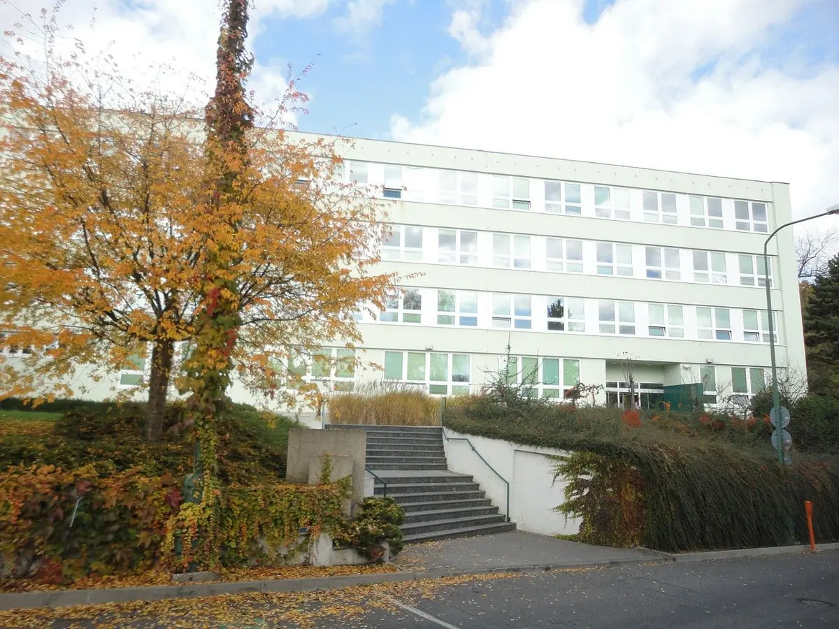 Pronájem komerčního prostoru 500 m², Košíře