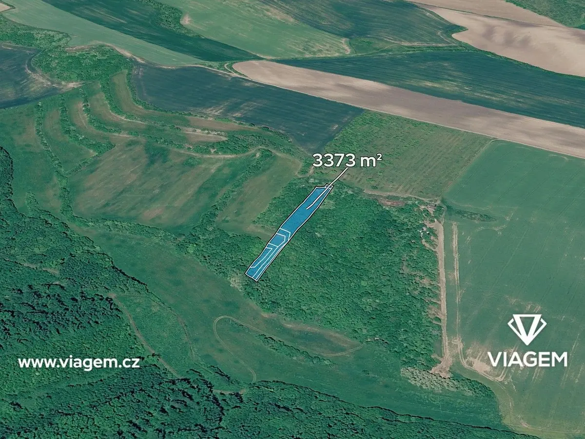 Prodej pozemku 3373 m², Čejkovice