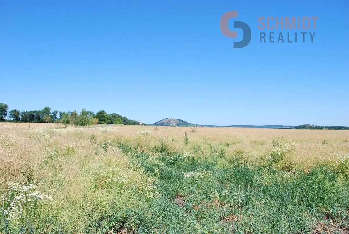 Prodej pozemku 129352 m², Náměstí · Mikulov na Moravě · Mikulov