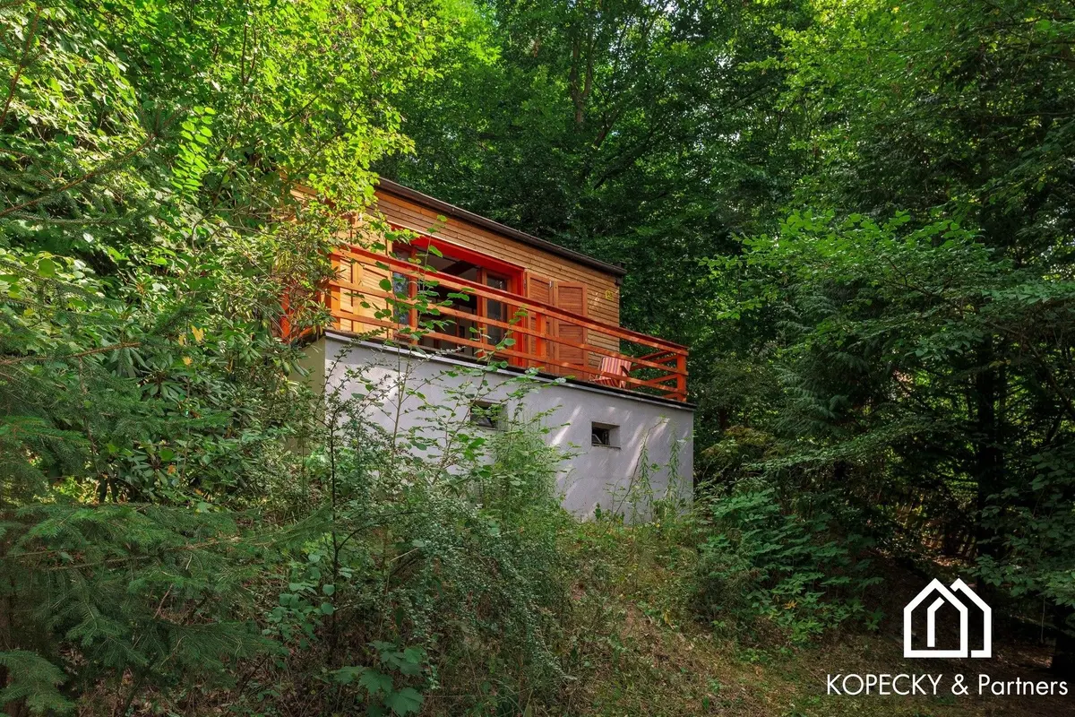 Prodej nemovitosti 30 m², Stříbrná Skalice