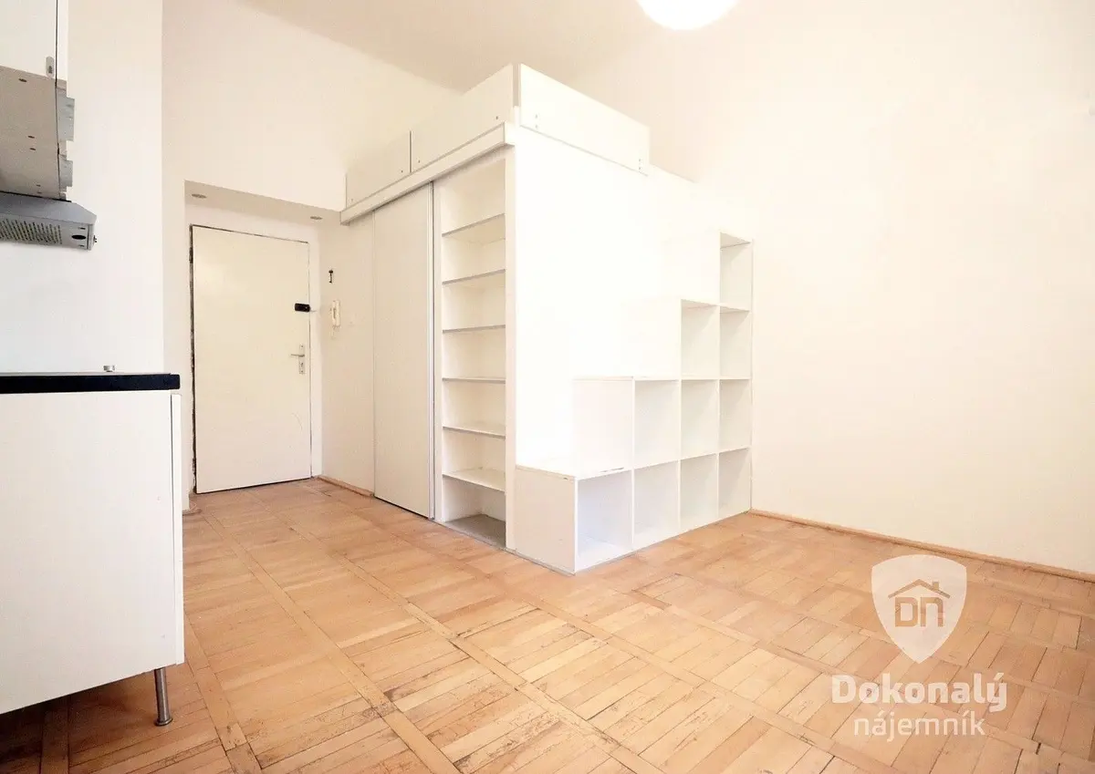 Pronájem bytu 1+kk 20 m², Holečkova · Košíře