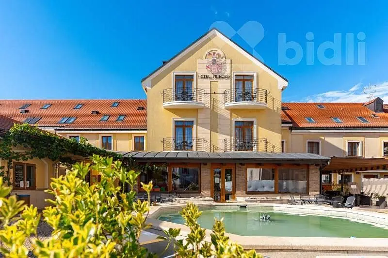 Prodej komerčního prostoru 1300 m², Lednice na Moravě · Lednice