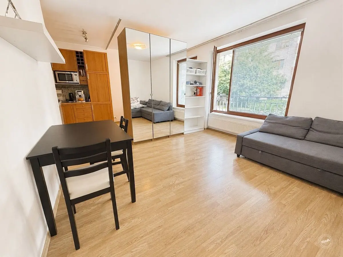 Pronájem bytu 1+kk 33 m², Masarykova · Město Brno · Brno