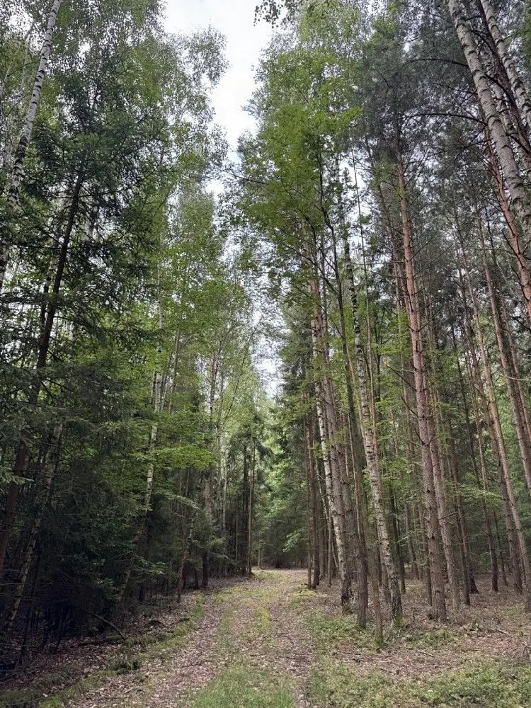 Prodej pozemku 11311 m², Velešovice · okres Vyškov Jihomoravský kraj