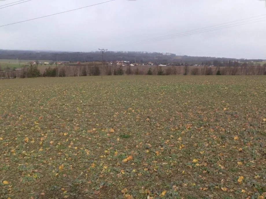 Prodej pozemku 4742 m², Hůry