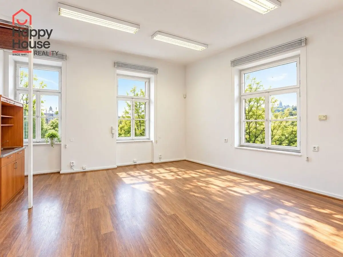Pronájem komerčního prostoru 47 m², Novomlýnská · Nové Město