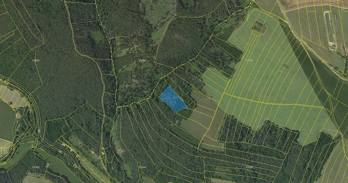 Prodej pozemku 7691 m², Horní Loučky