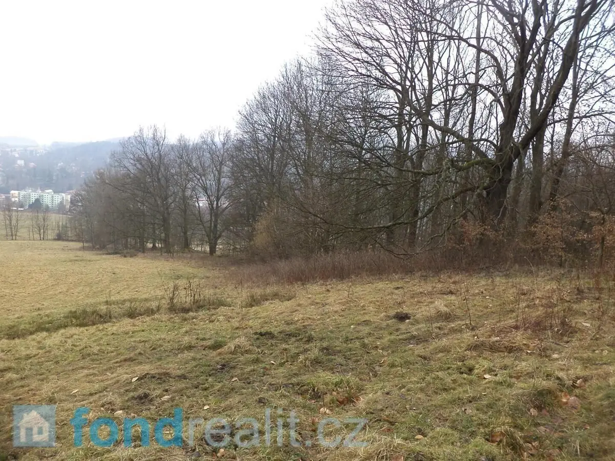 Prodej pozemku 5161 m², Horní Kamenice · Česká Kamenice