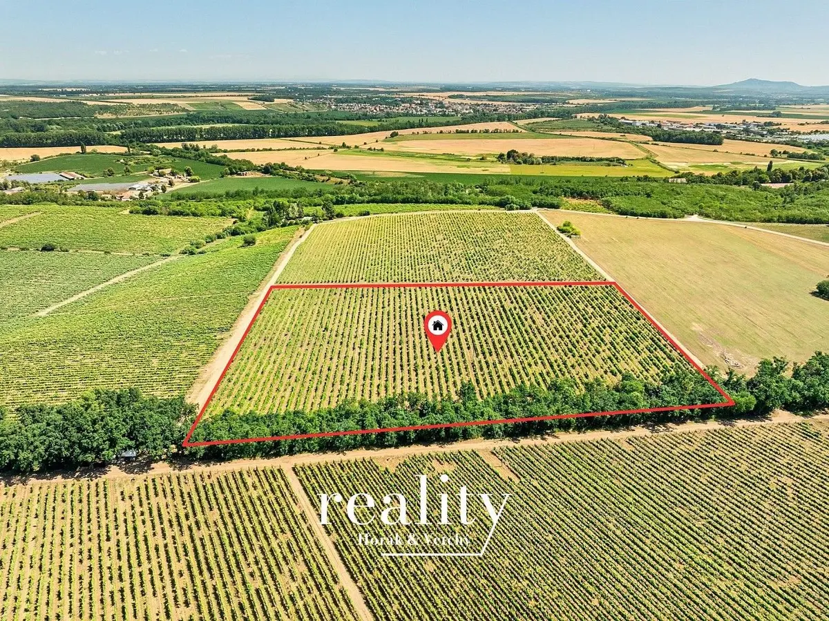 Prodej pozemku 33963 m², Hlavní · Šanov nad Jevišovkou · Šanov