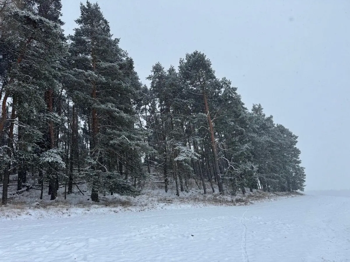Prodej pozemku 2590 m², Generála Holeky · Nýřany