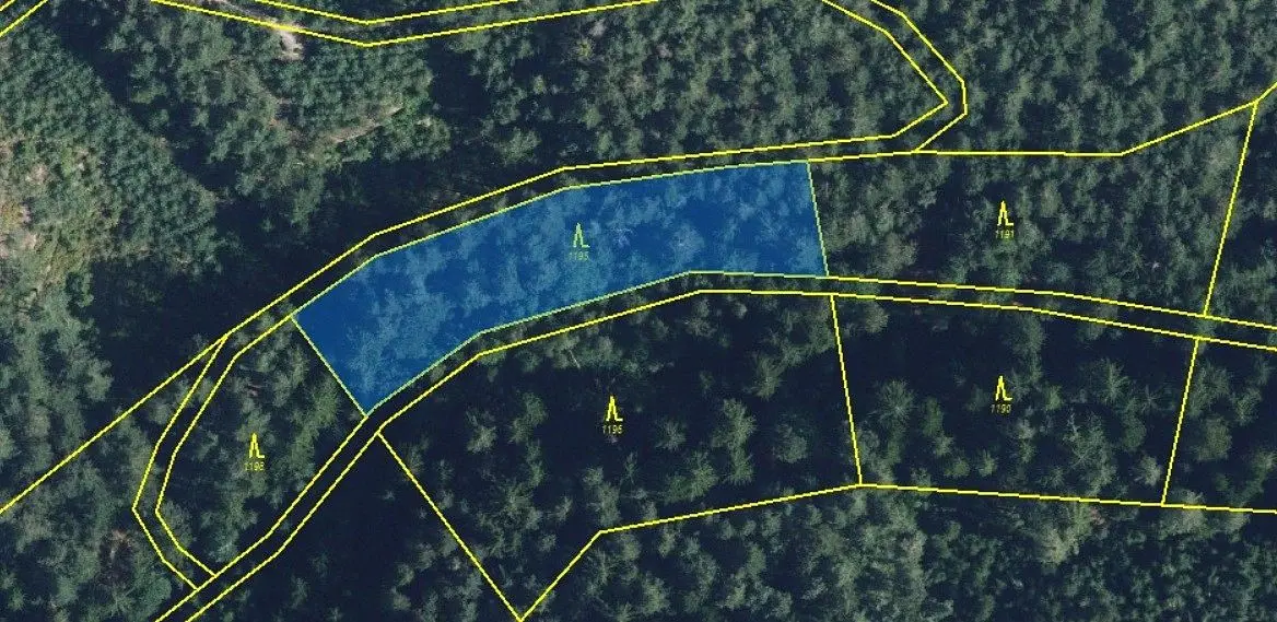 Prodej pozemku 5021 m², náměstí Dr. Tošovského · Proseč u Skutče · Proseč