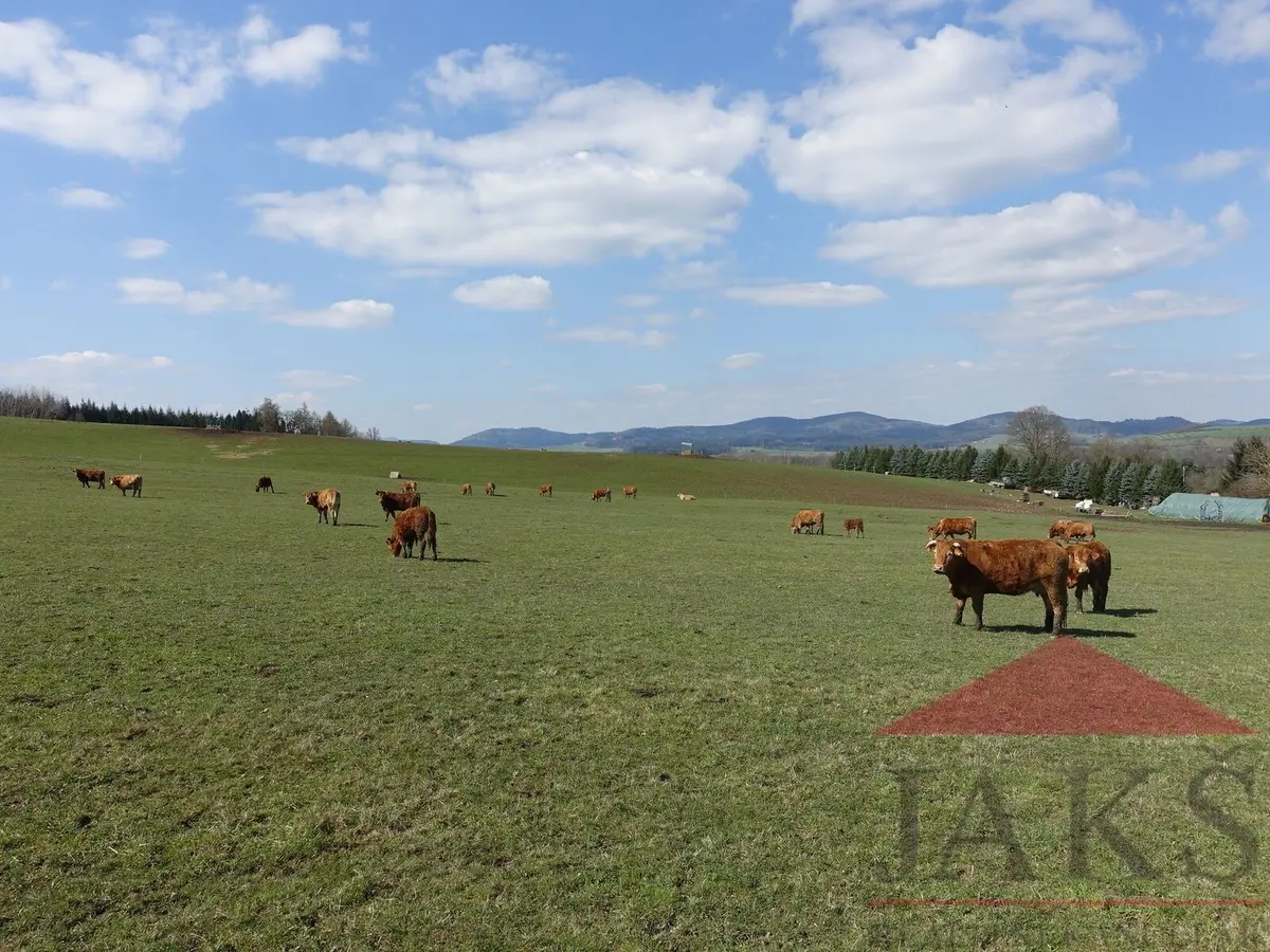 Prodej pozemku 7 m², Petrovice nad Úhlavou · Janovice nad Úhlavou