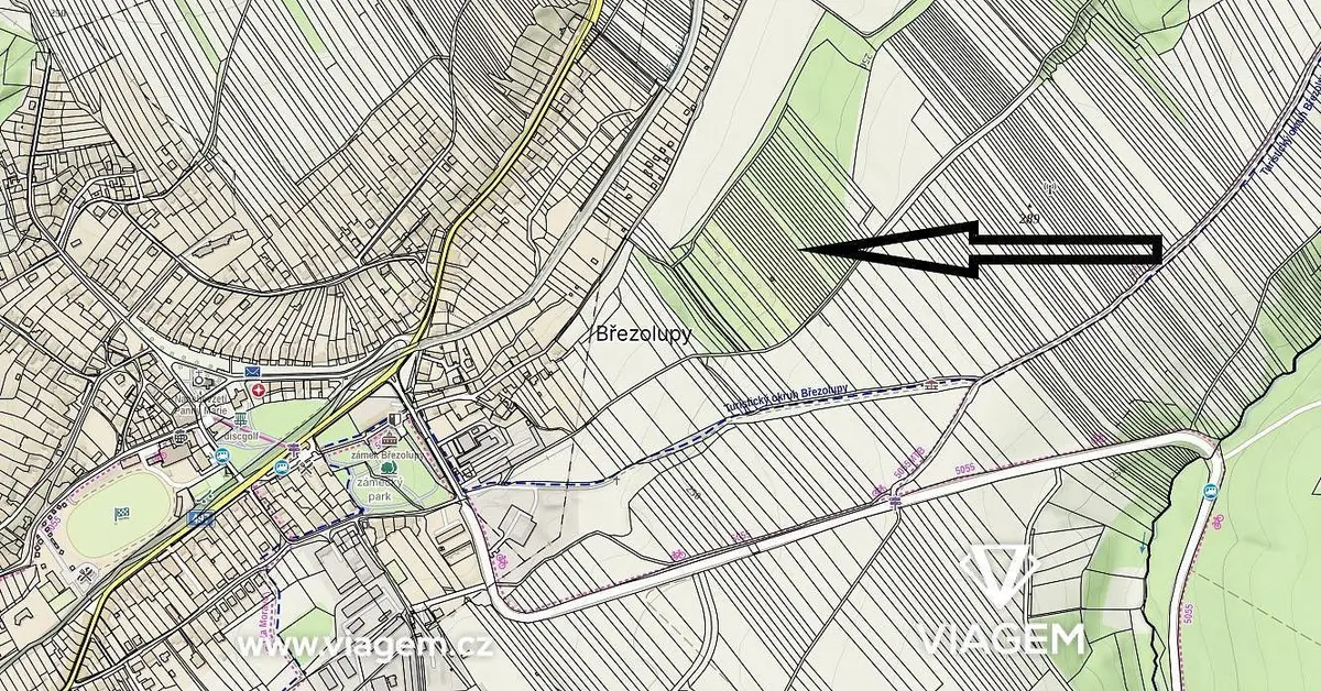 Prodej pozemku 1322 m², Březolupy
