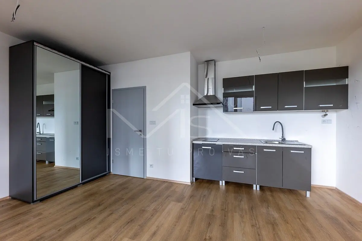 Pronájem bytu 1+kk 34 m², Plzeň