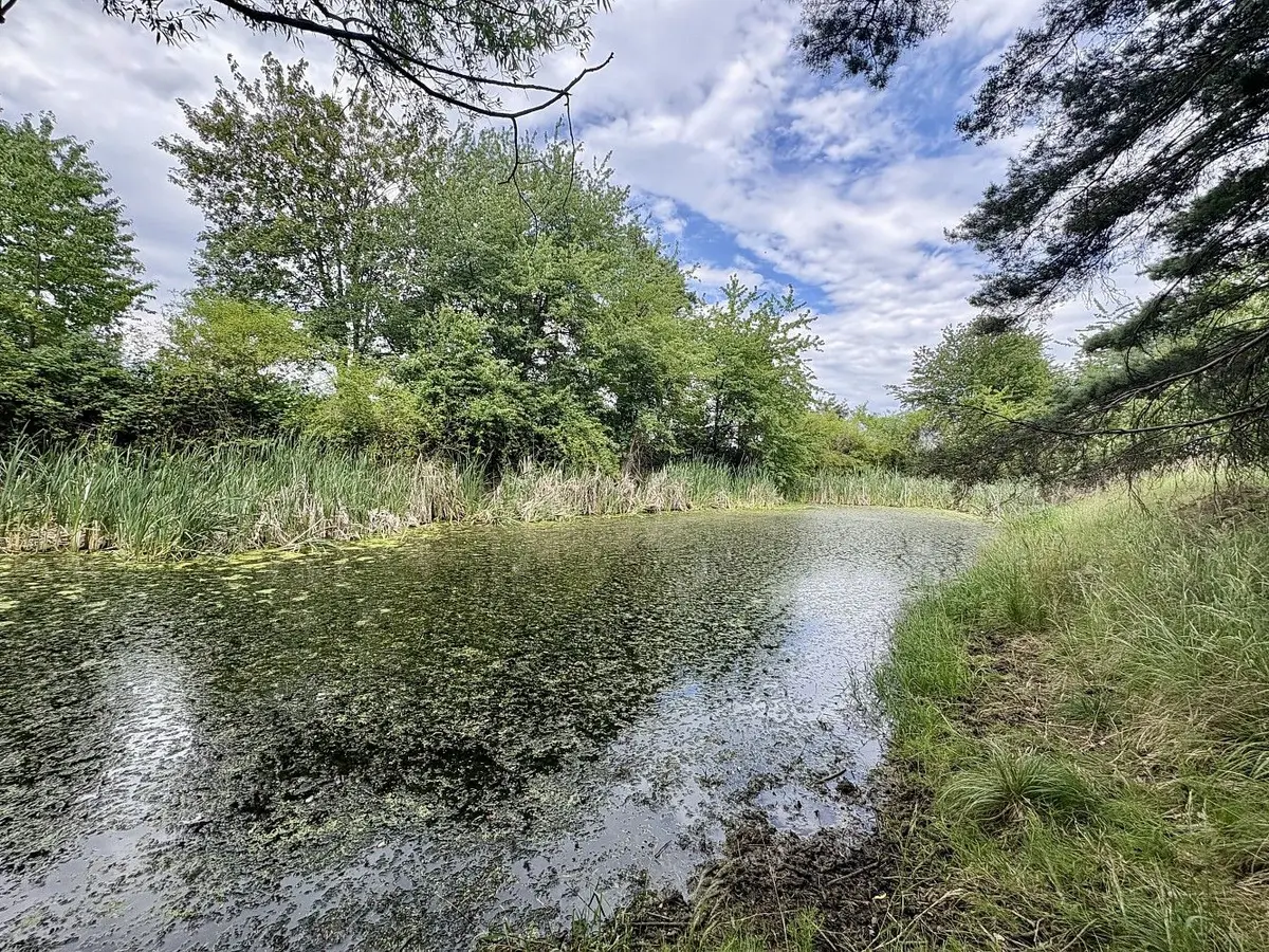 Prodej pozemku 17967 m², Libice · Rybníky