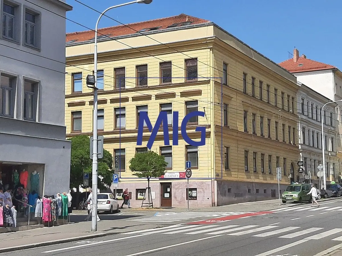 Pronájem komerčního prostoru 159 m², Kounicova · Veveří · Brno
