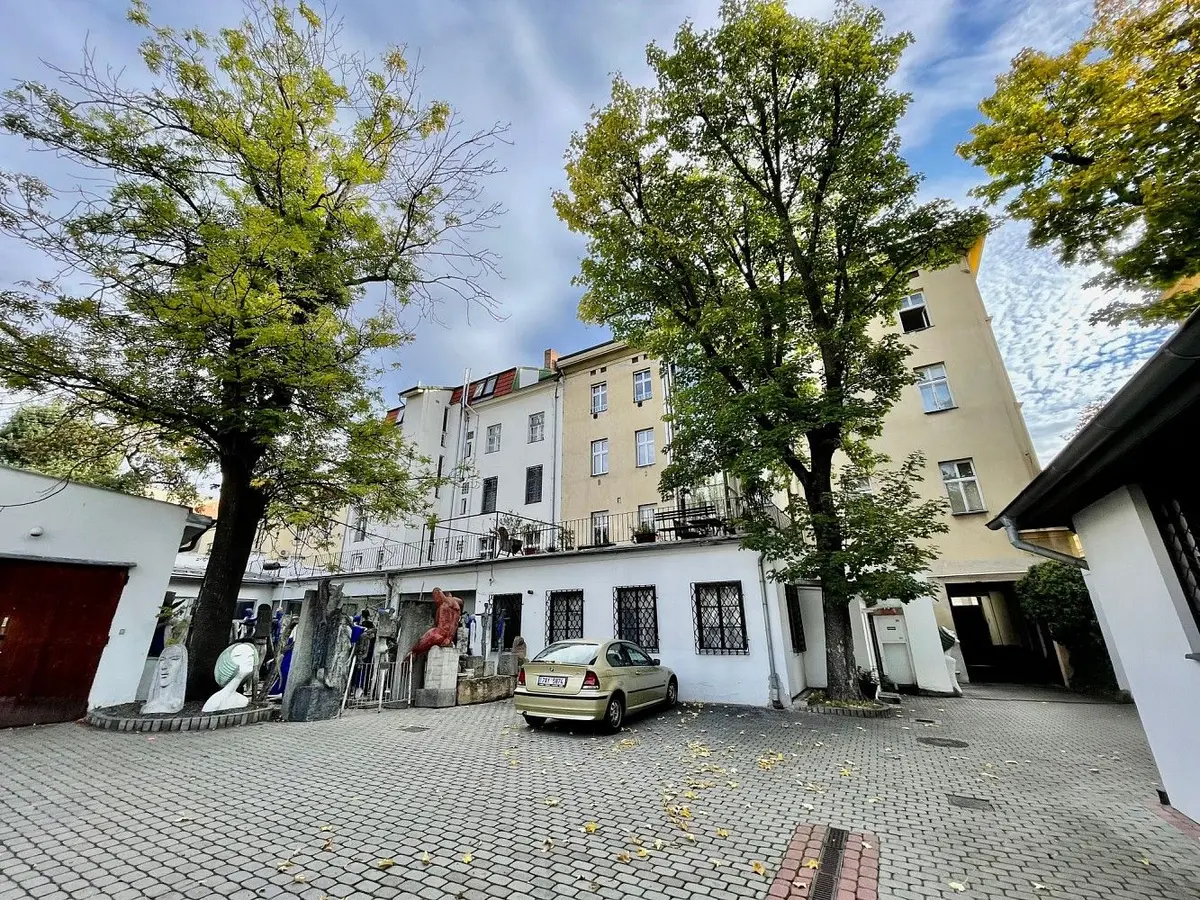 Pronájem nemovitosti 16 m², Salmovská · Nové Město