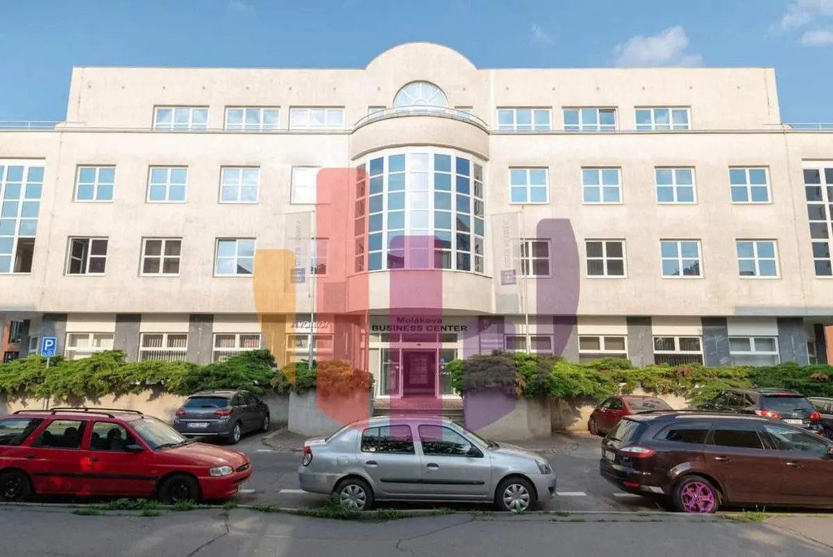 Pronájem komerčního prostoru 207 m², Molákova · Karlín
