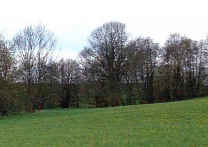 Prodej pozemku 2075 m², Melč