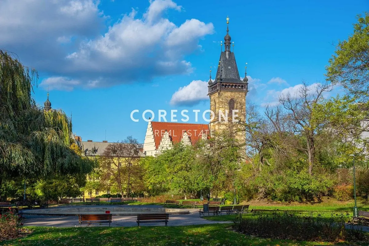 Prodej komerčního prostoru 7000 m², Na Zderaze · Nové Město