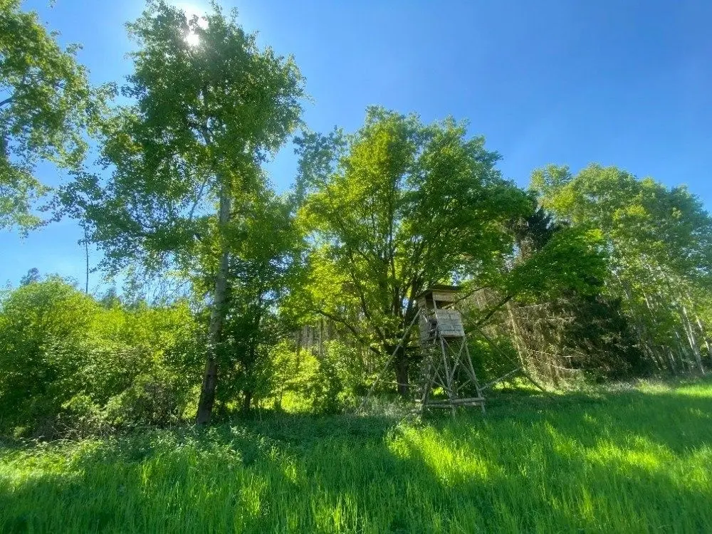 Prodej pozemku 22535 m², Sušno · Kropáčova Vrutice