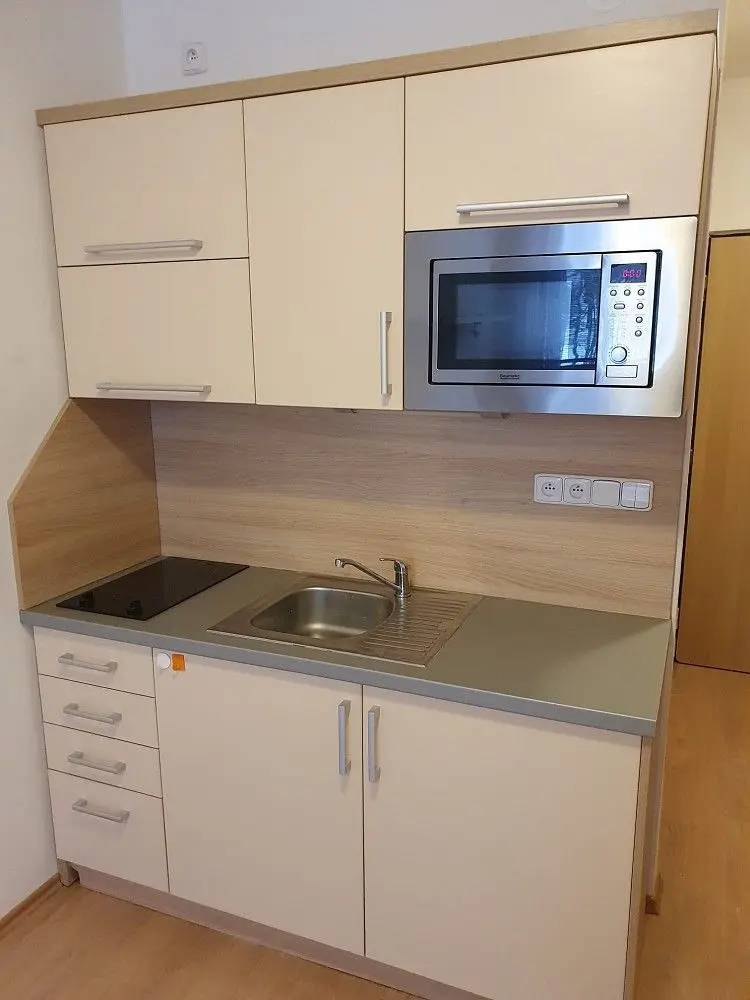 Pronájem bytu 1+kk 20 m², Všemina