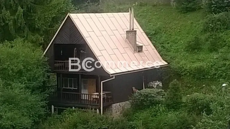 Prodej nemovitosti 60 m², Olešná u Blanska · Blansko
