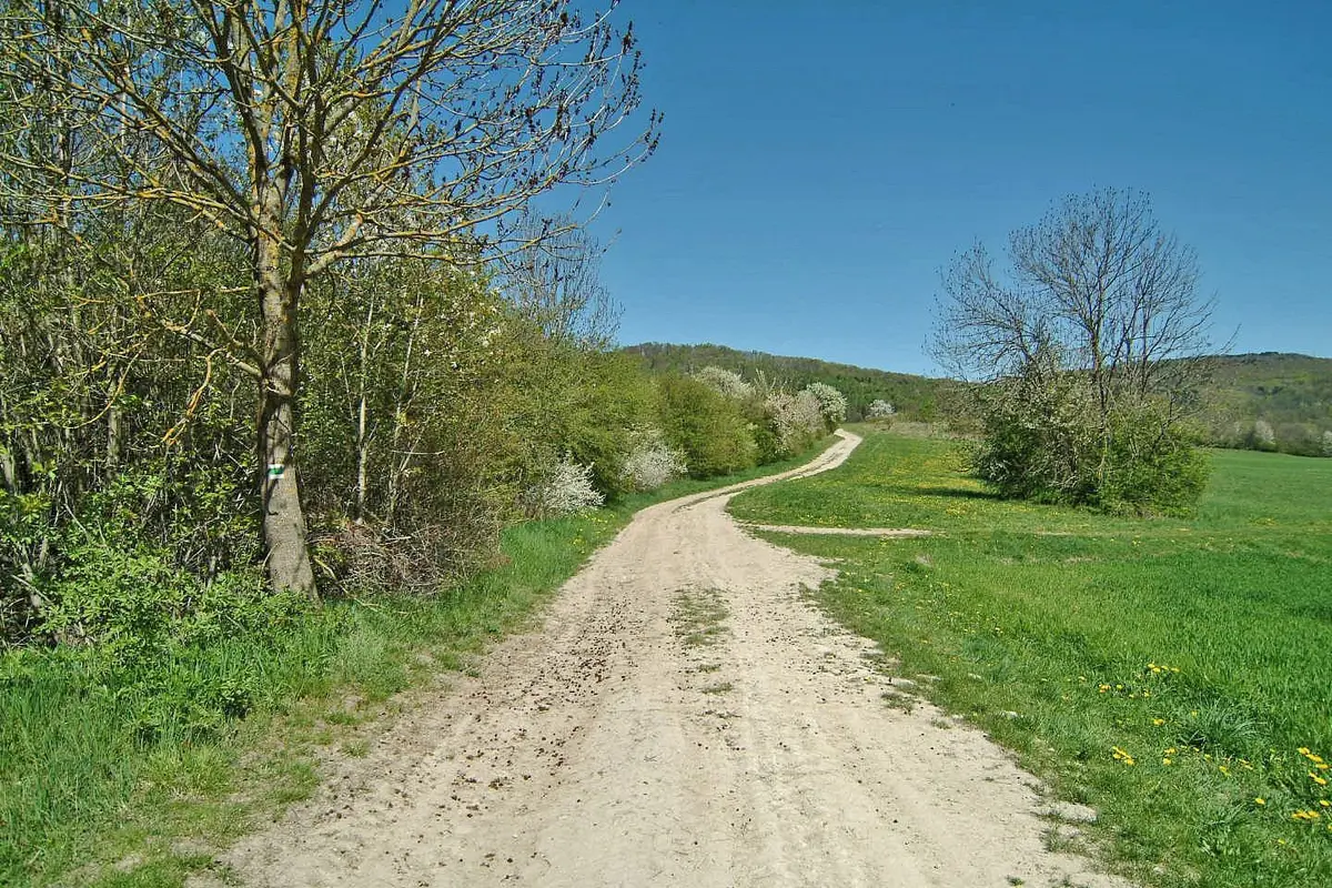 Prodej pozemku 873 m², Kněžnice