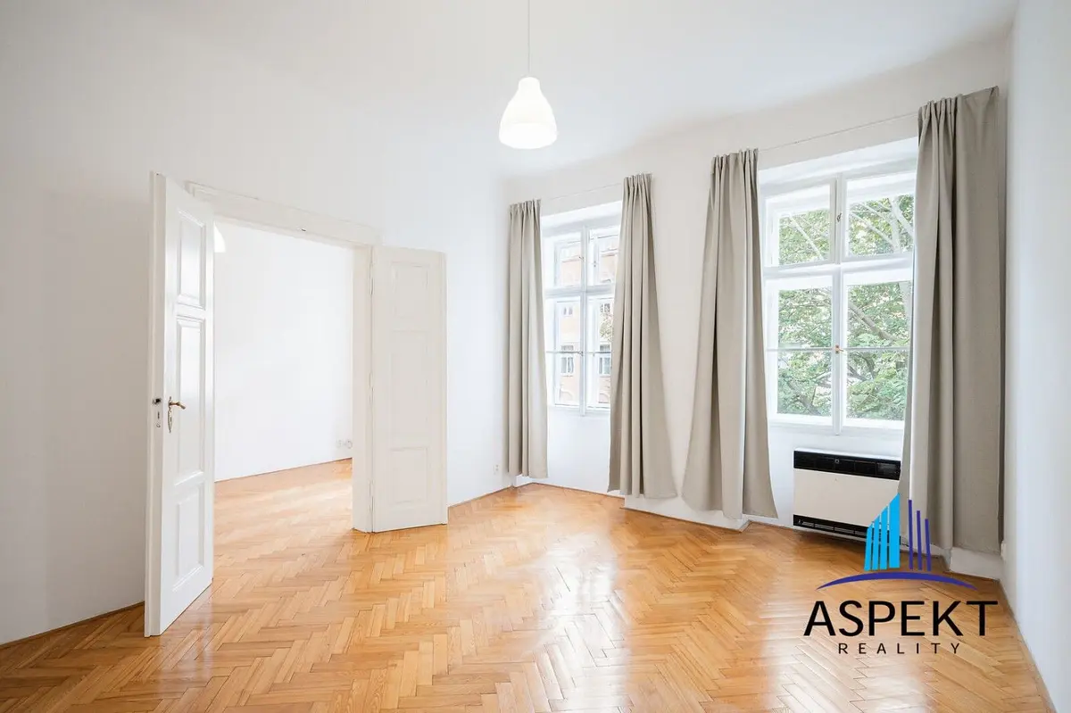 Pronájem bytu 2+1 50 m², Vítkova · Karlín