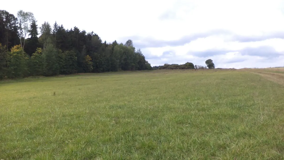 Prodej pozemku 5912 m², Tachov