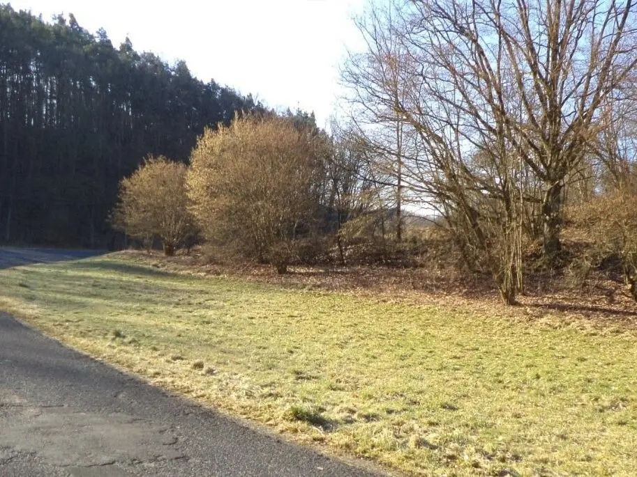 Prodej pozemku 3205 m², Tuhaň · okres Česká Lípa Liberecký kraj
