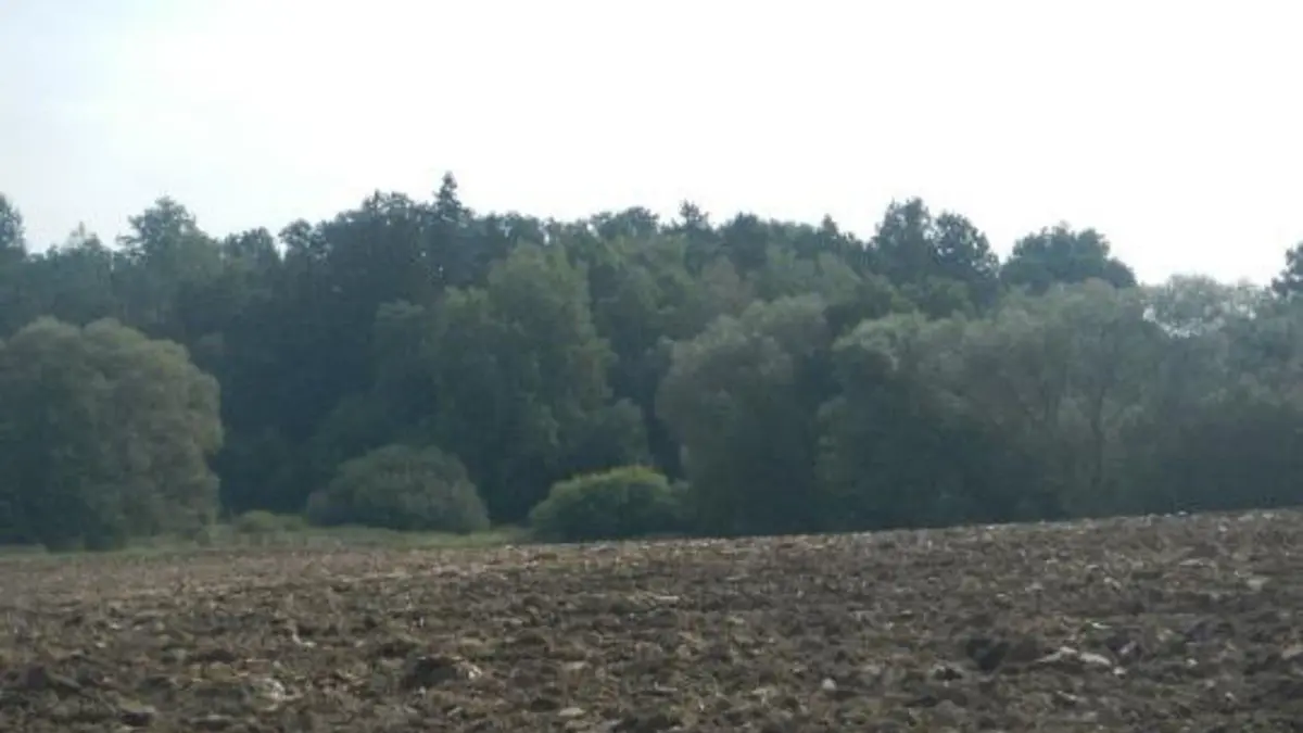 Prodej pozemku 21553 m², Chotýšany