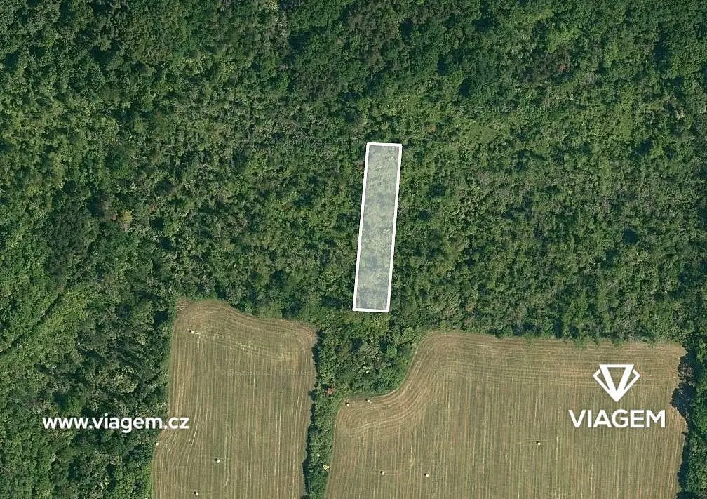 Prodej pozemku 3778 m², Sýčina · Dobrovice