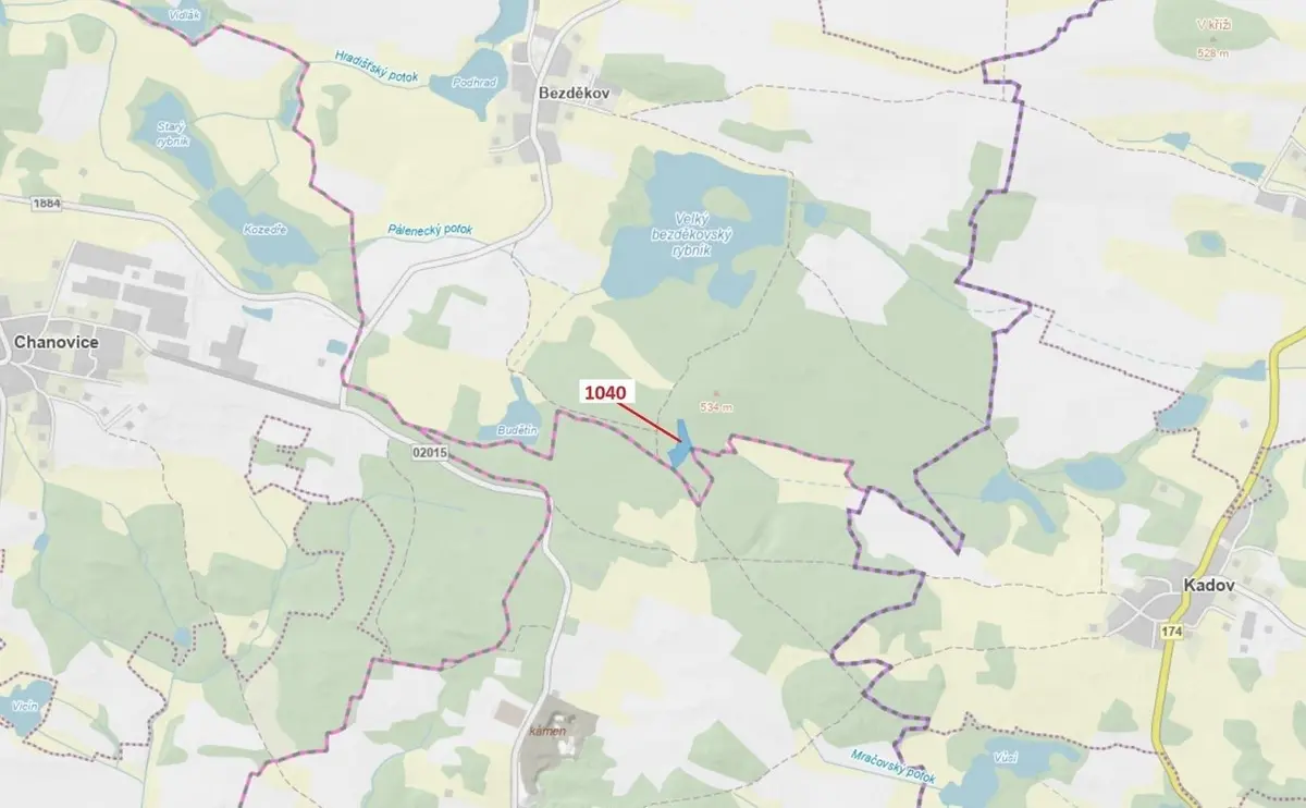 Prodej pozemku 6519 m², Bezděkov u Kasejovic · Hradiště