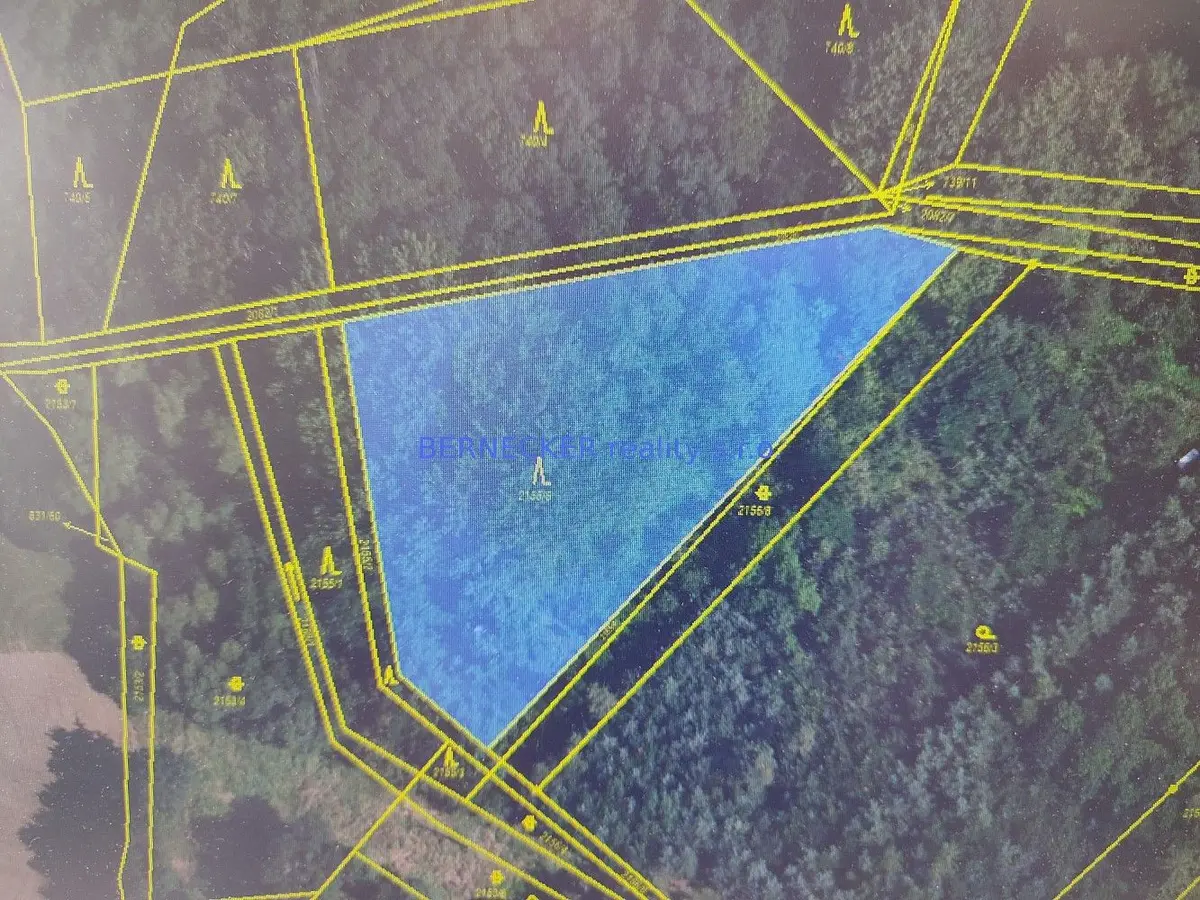 Prodej pozemku 5127 m², Rasošky