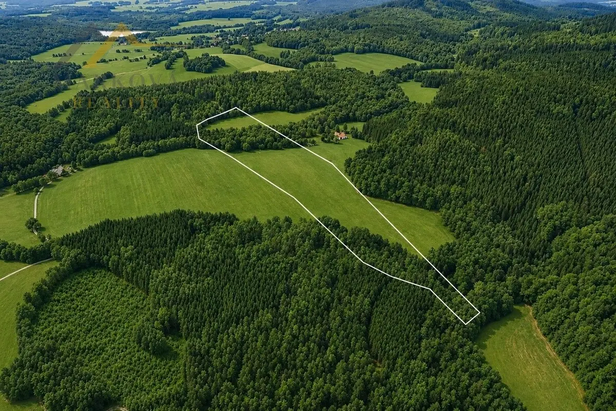 Prodej pozemku 98591 m², Klení · Benešov nad Černou