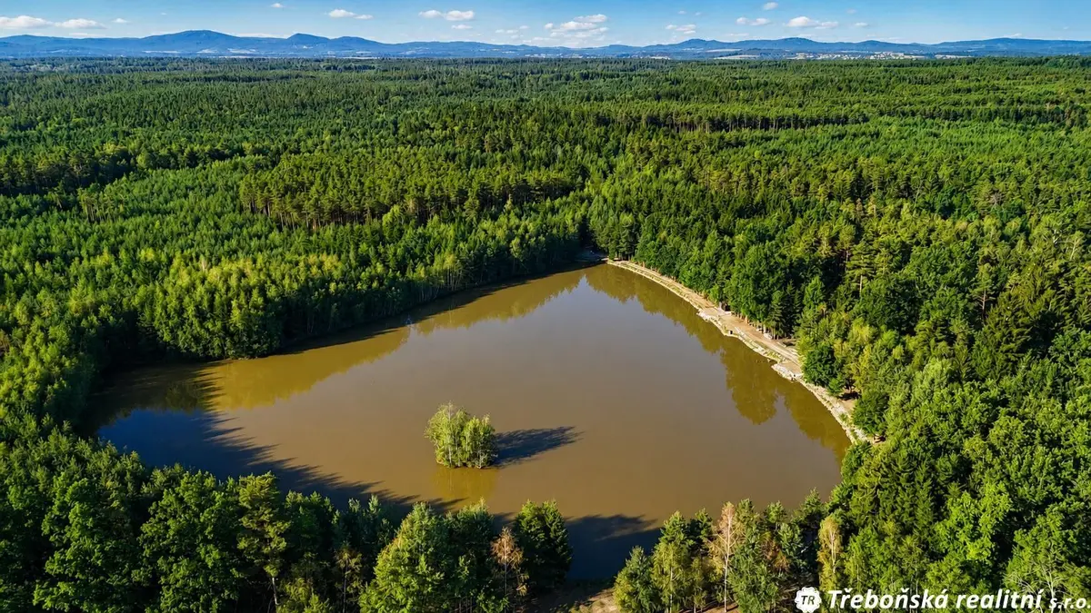Prodej nemovitosti 49156 m², Šalmanovice · Jílovice