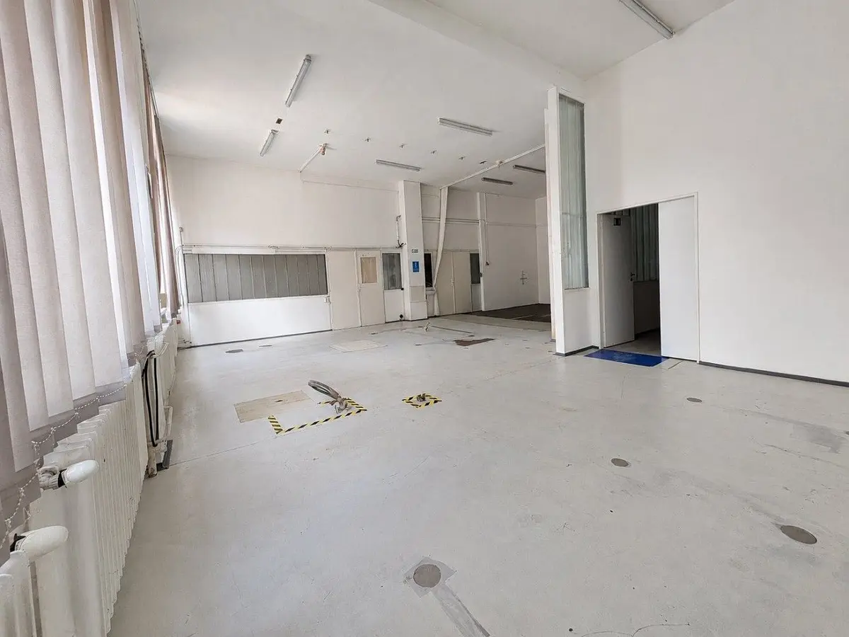 Pronájem komerčního prostoru 134 m², Olomoucká · Černovice · Brno