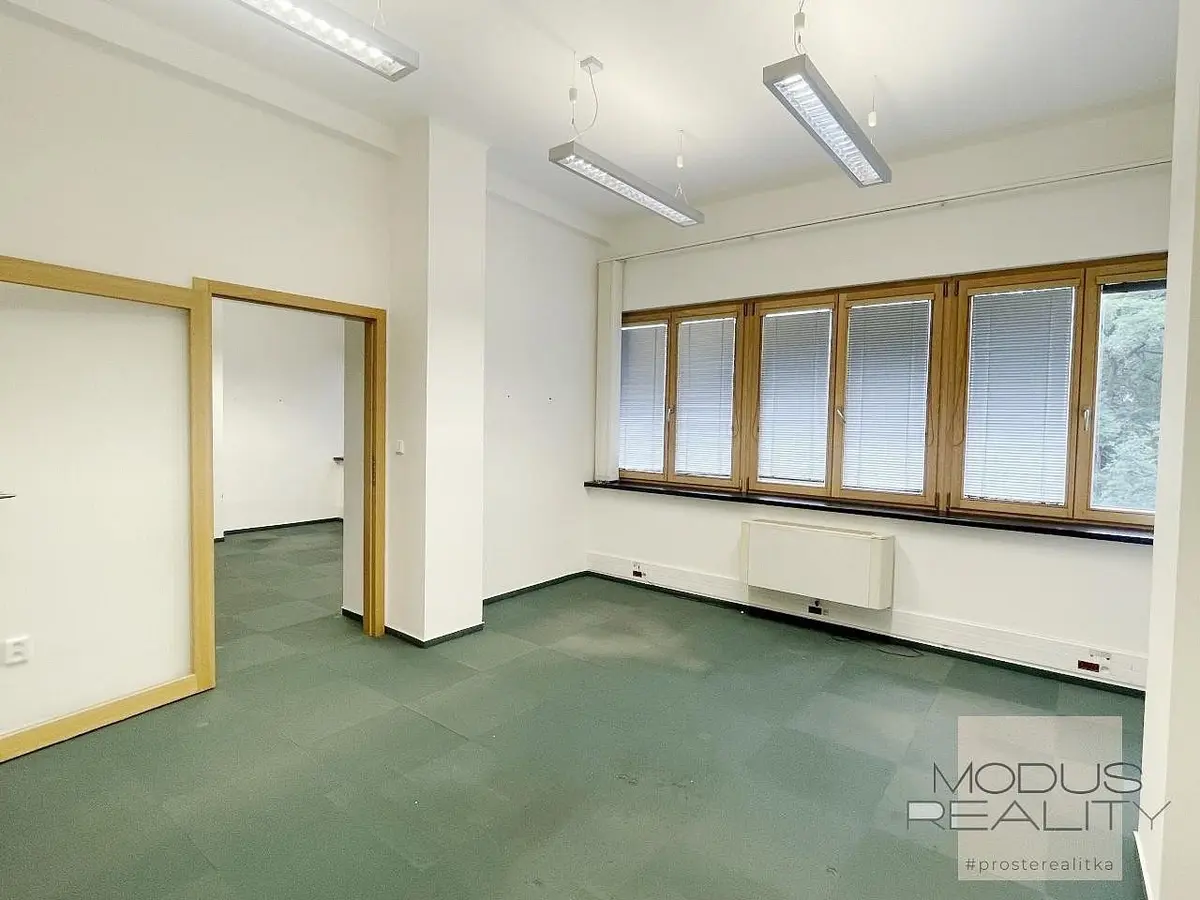 Pronájem komerčního prostoru 39 m², U Rajské zahrady · Žižkov