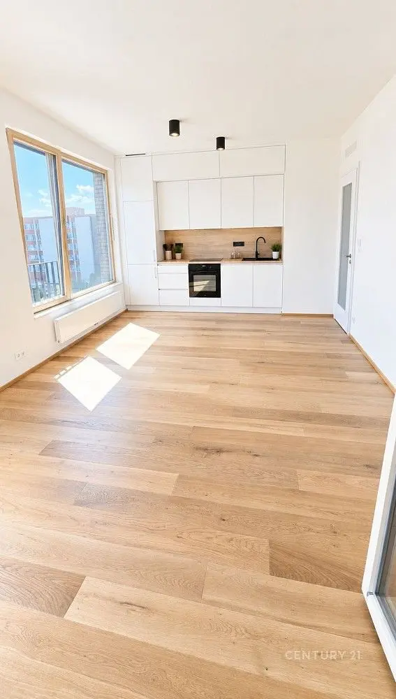 Pronájem bytu 2+kk 62 m², Švarcova · Karlín