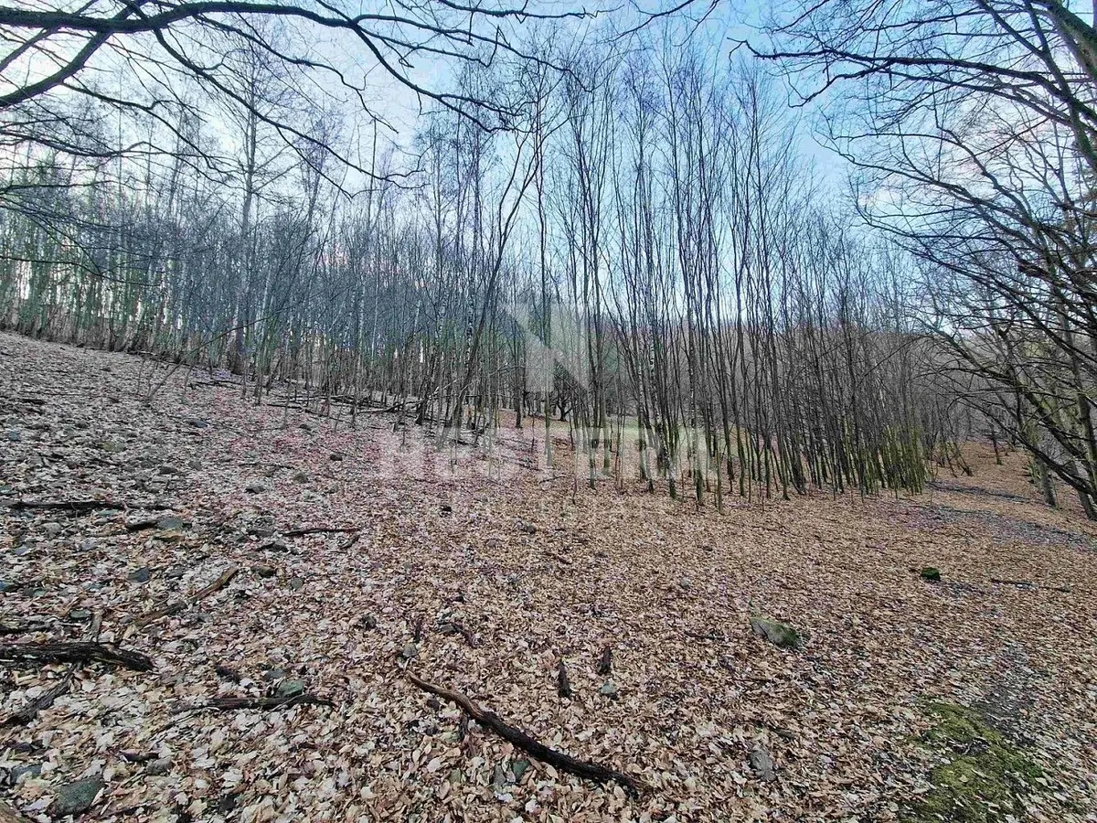 Prodej pozemku 10301 m², Luka pod Medníkem · Jílové u Prahy