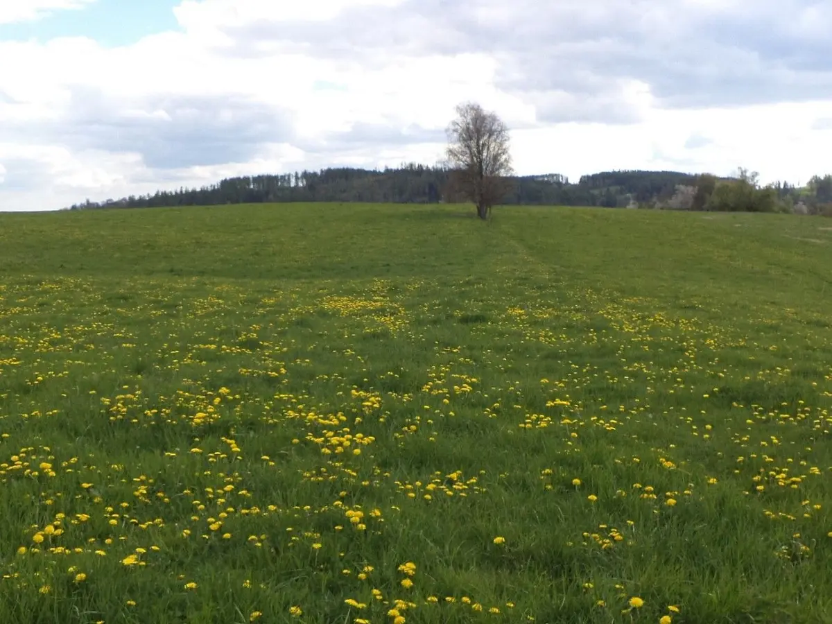 Prodej pozemku 10063 m², Malá Véska · Staré Město