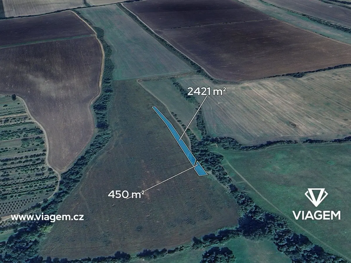 Prodej pozemku 717 m², Tasov nad Veličkou · Tasov
