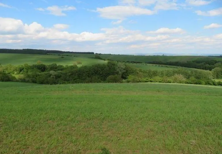 Prodej pozemku 2623 m², Břestek