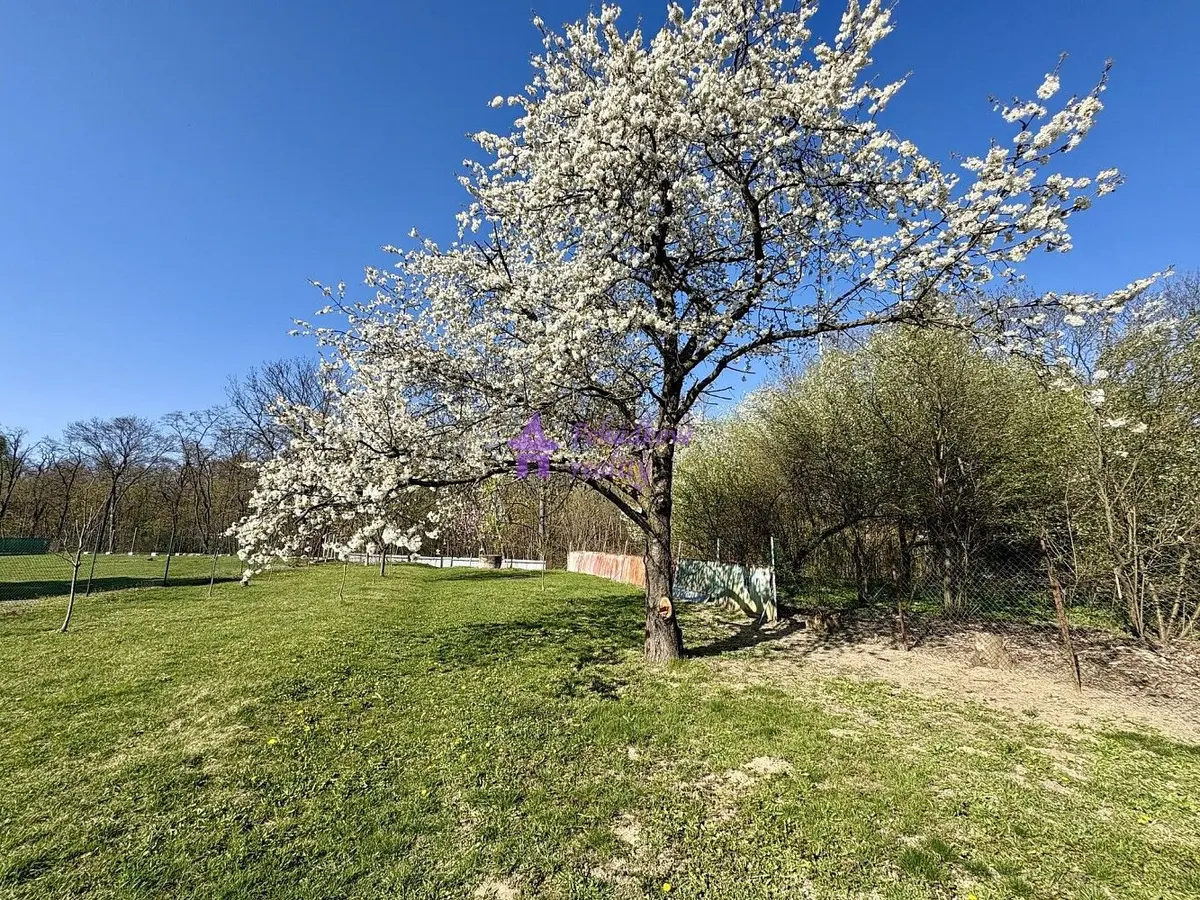 Pronájem pozemku 1636 m², Hodolanská · Staré Hodolany a Bělidla · Olomouc