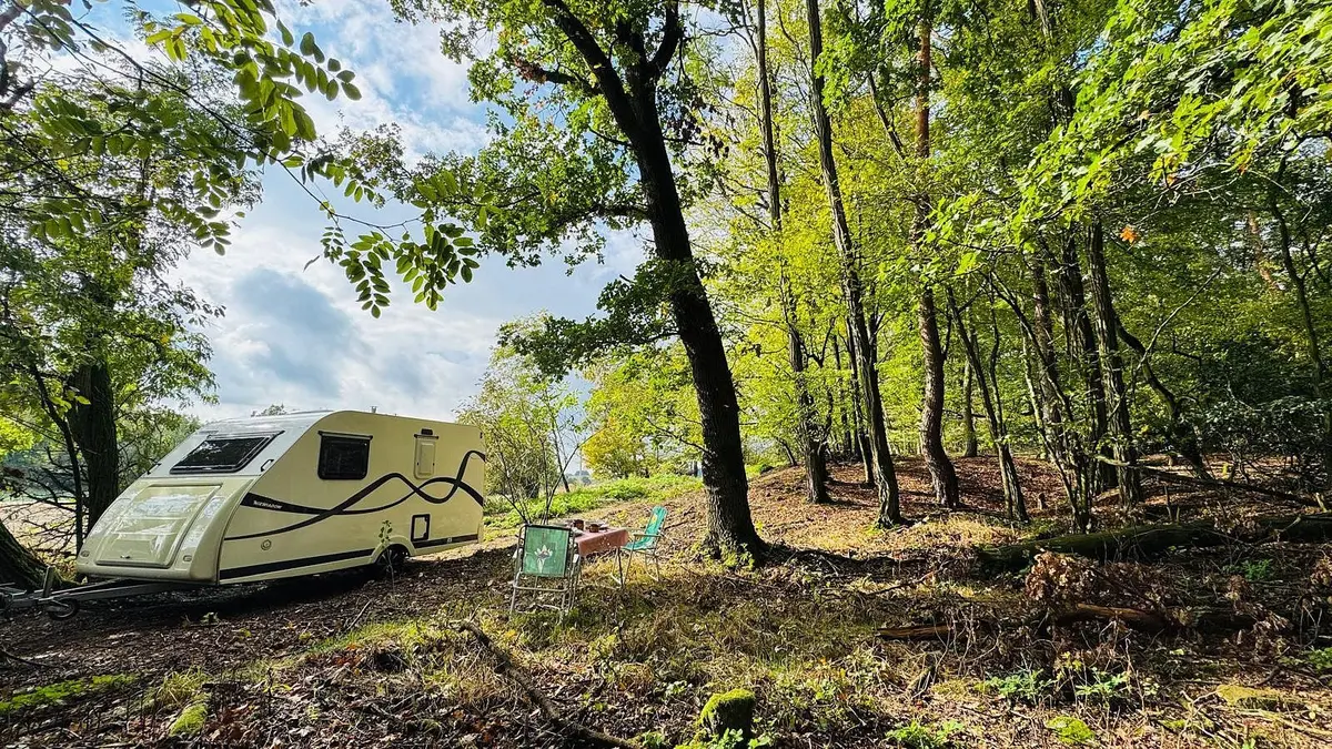 Prodej pozemku 893 m², Pozov · Postupice