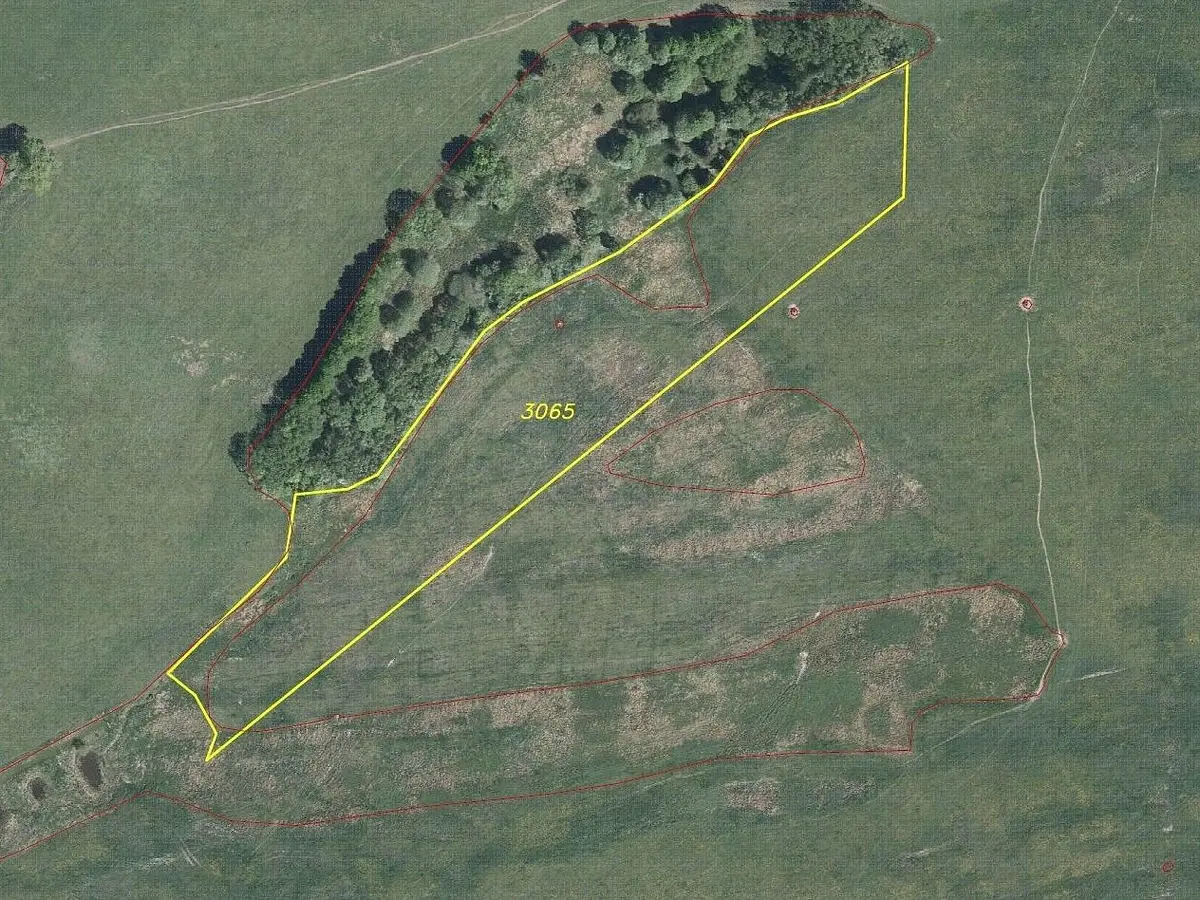 Prodej pozemku 14437 m², Souvlastní · Zdobnice
