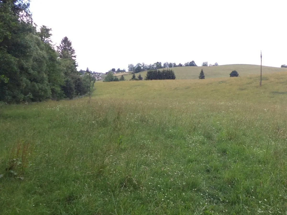 Prodej pozemku 10957 m², Prostřední Staré Buky · Staré Buky