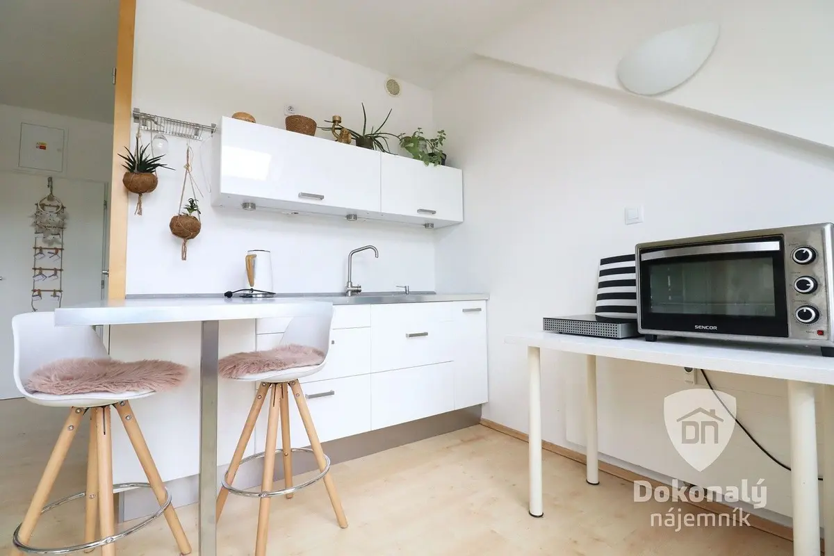 Pronájem bytu 1+kk 45 m², Střížkovská · Libeň