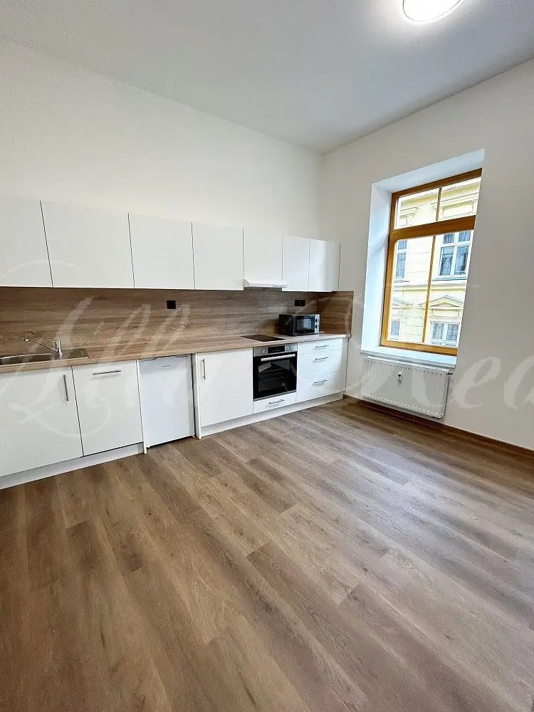 Pronájem bytu 2+kk 50 m², Bratislavská · Zábrdovice · Brno